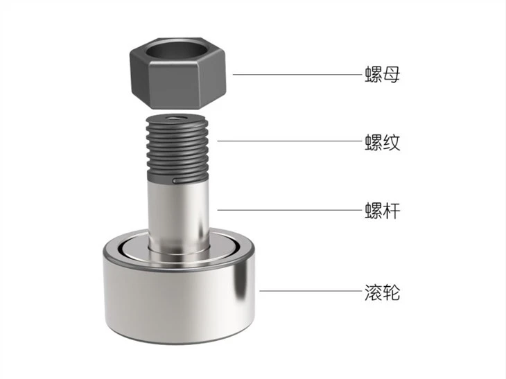CF3 Roller Bearing